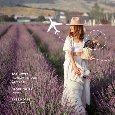 Maison Berger refill - Lavender Fields | Duft til Maison Berger Aroma Diffuser