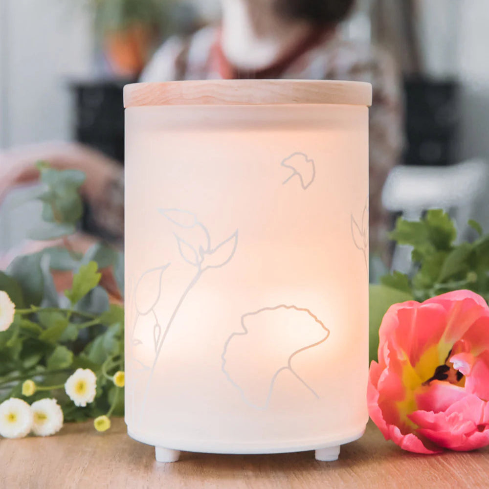 Maison Berger aroma diffuser | Komplet sæt med Aroma Dream