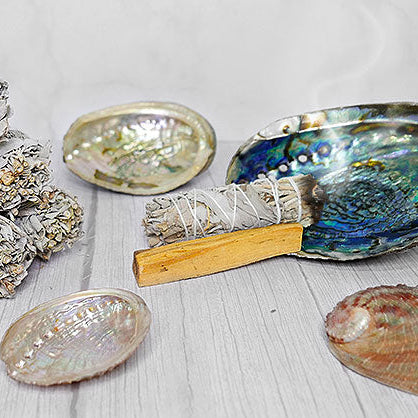 Dekorativ Abalone muslingeskal med perlemor. Perfekt til smudging, dekoration & opbevaring. Unik, naturlig & i flere størrelser.