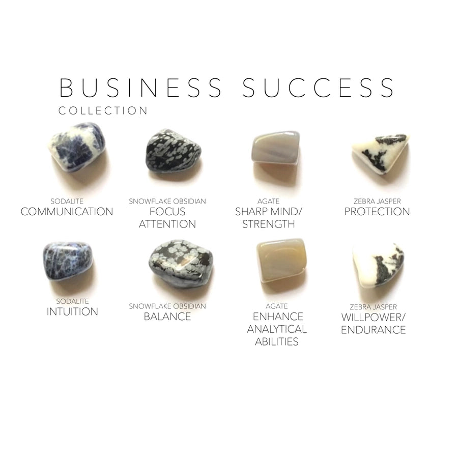 Business Success krystal kit | Krystaller til fokus, viljestyrke & karrieresucces