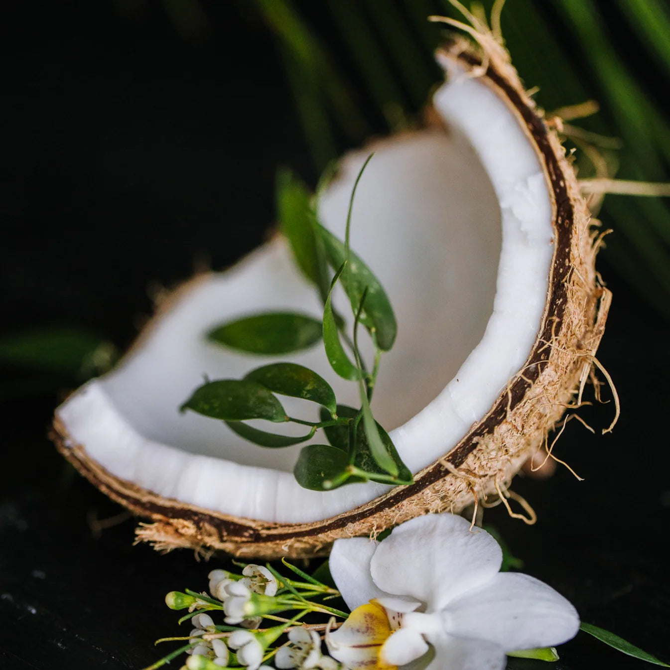 En tropisk conditioner bar med Coconut Bliss & Rice Water, der tilfører fugt, styrke og volumen – for sundt, silkeblødt og glansfuldt hår.