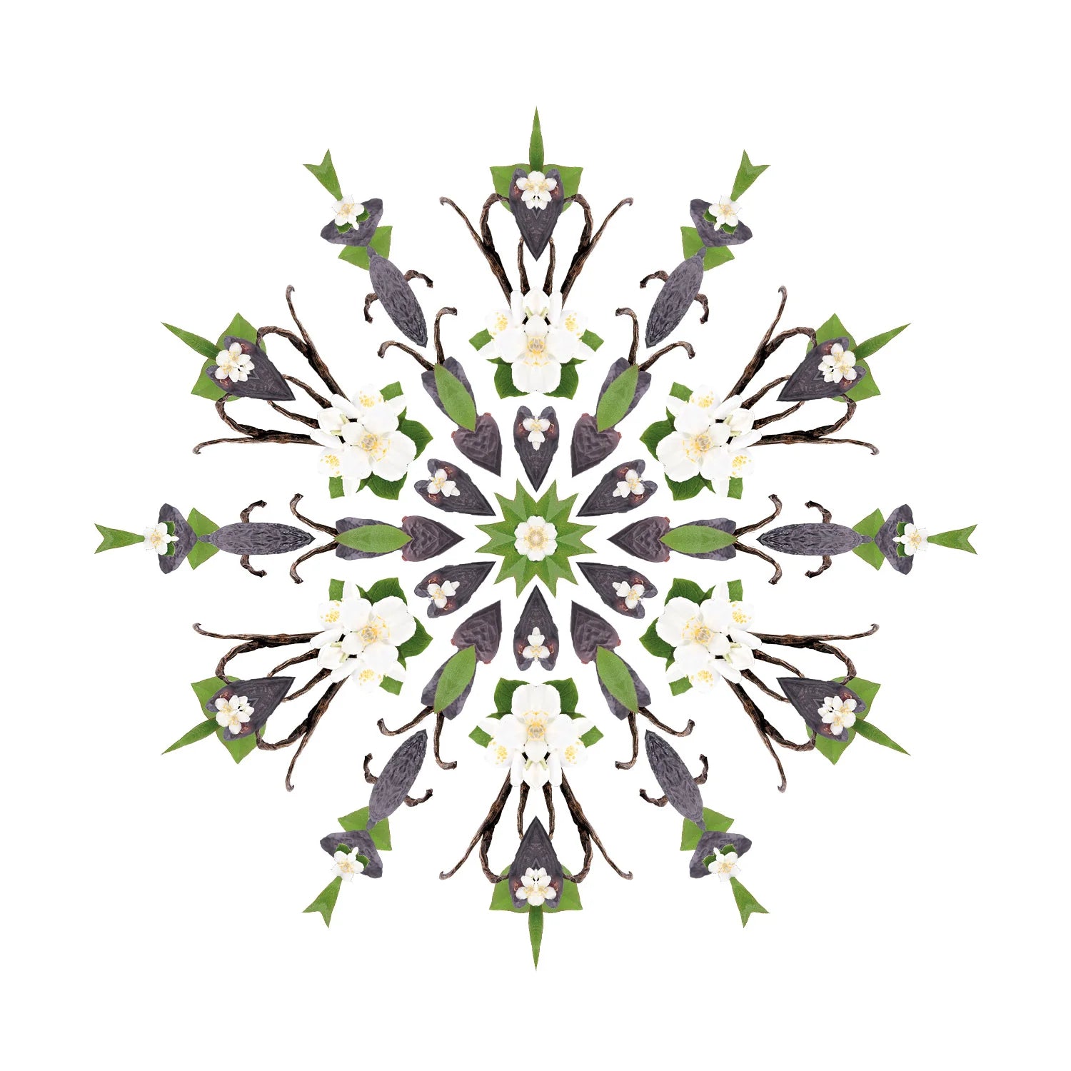 Lampe Berger refill - Elixir Tonka | Duft til Maison Berger duftlampe