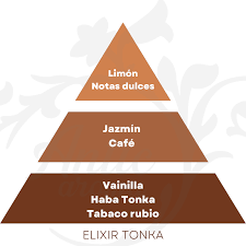 Lampe Berger refill - Elixir Tonka | Duft til Maison Berger duftlampe