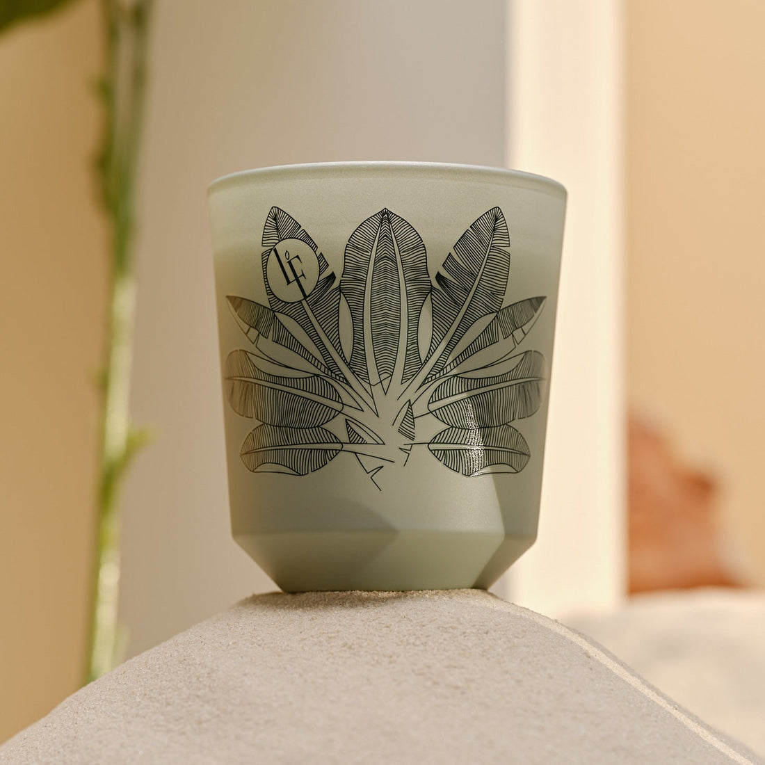 Green Vanilla duftlys | Bourgie La Française – Tropisk grøn vanilje, galbanum, mynte & tonkabønne