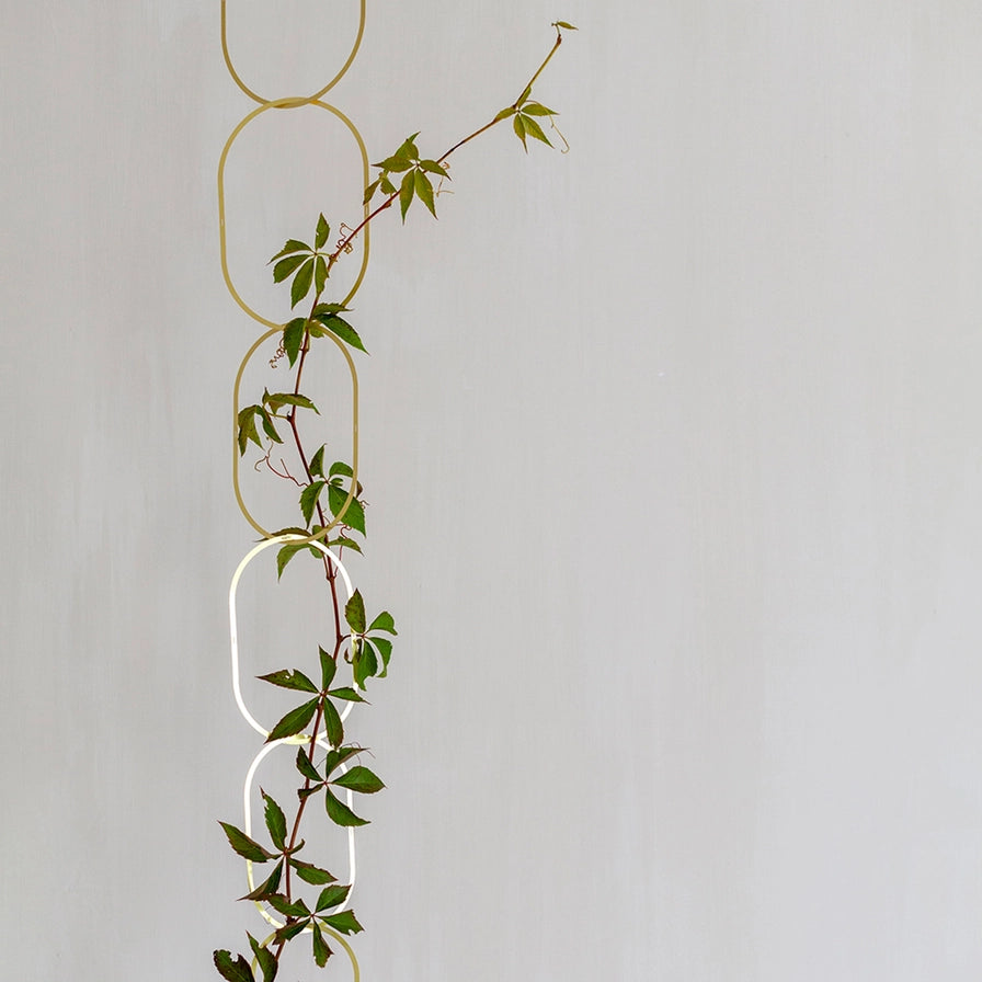 Gold Brass Chain – Elegant blomsteropbinding i messing til klatreplanter