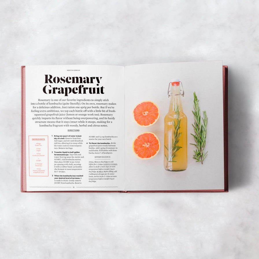 The FarmSteady Guide to Kombucha – Den ultimative kombucha kogebog