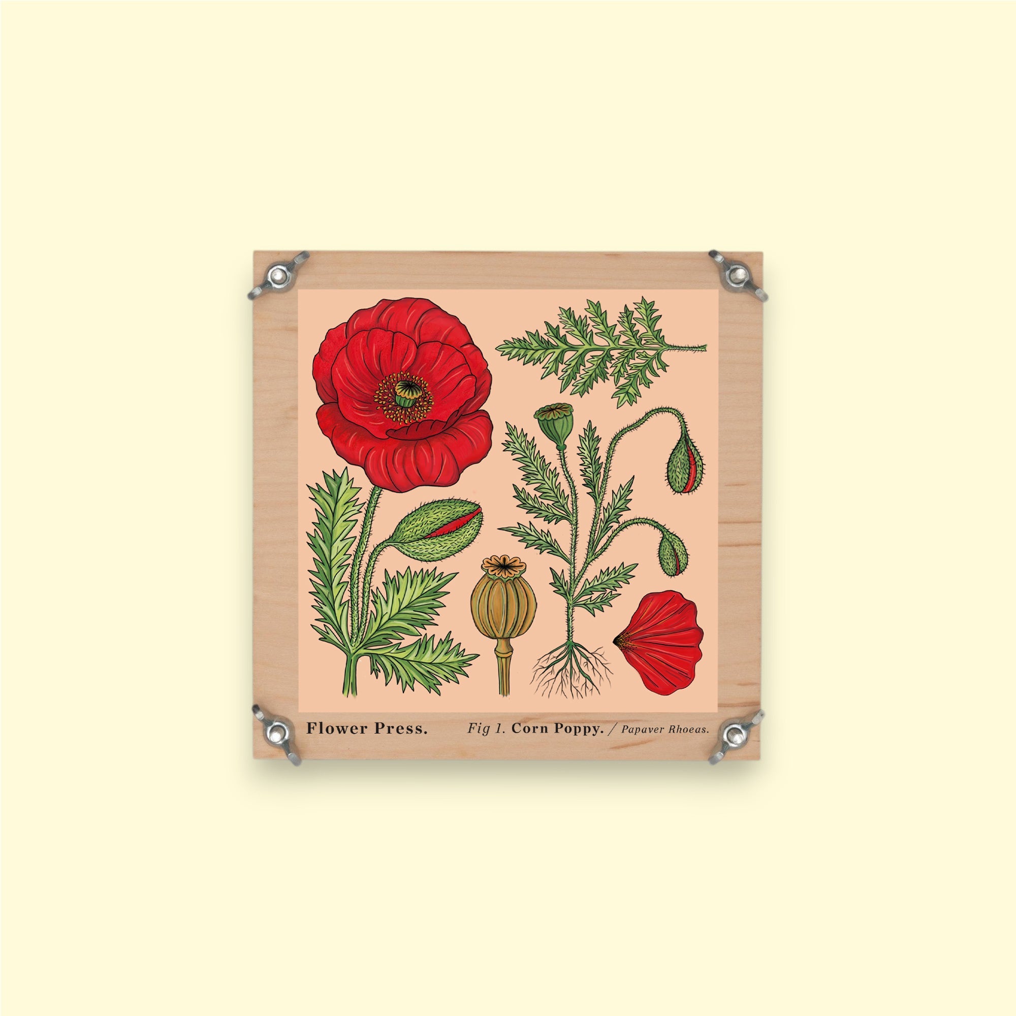 Blomsterpresser 15x15 cm | Bæredygtigt træ