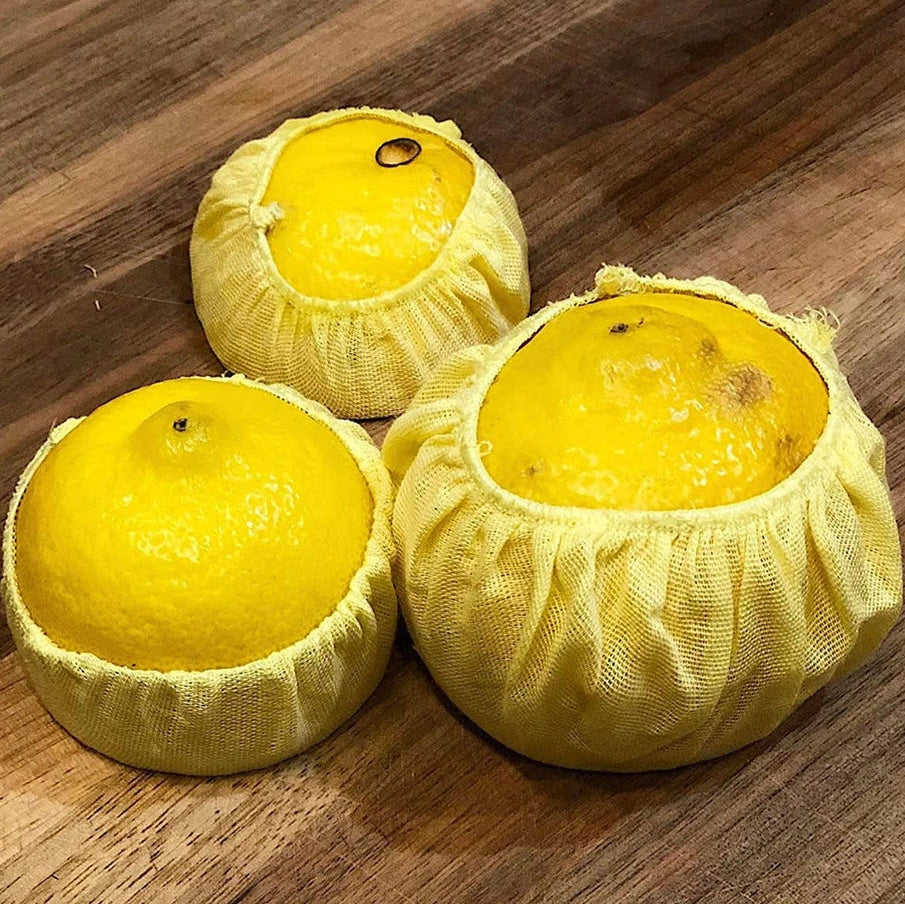 Genanvendelige citronposer - kernefri citronsaft | Foxrun