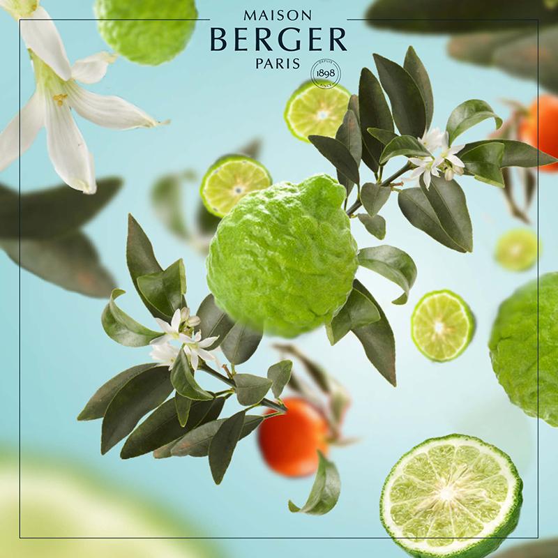 Maison Berger refill - Radiant Bergamot | Duft til duftpinde