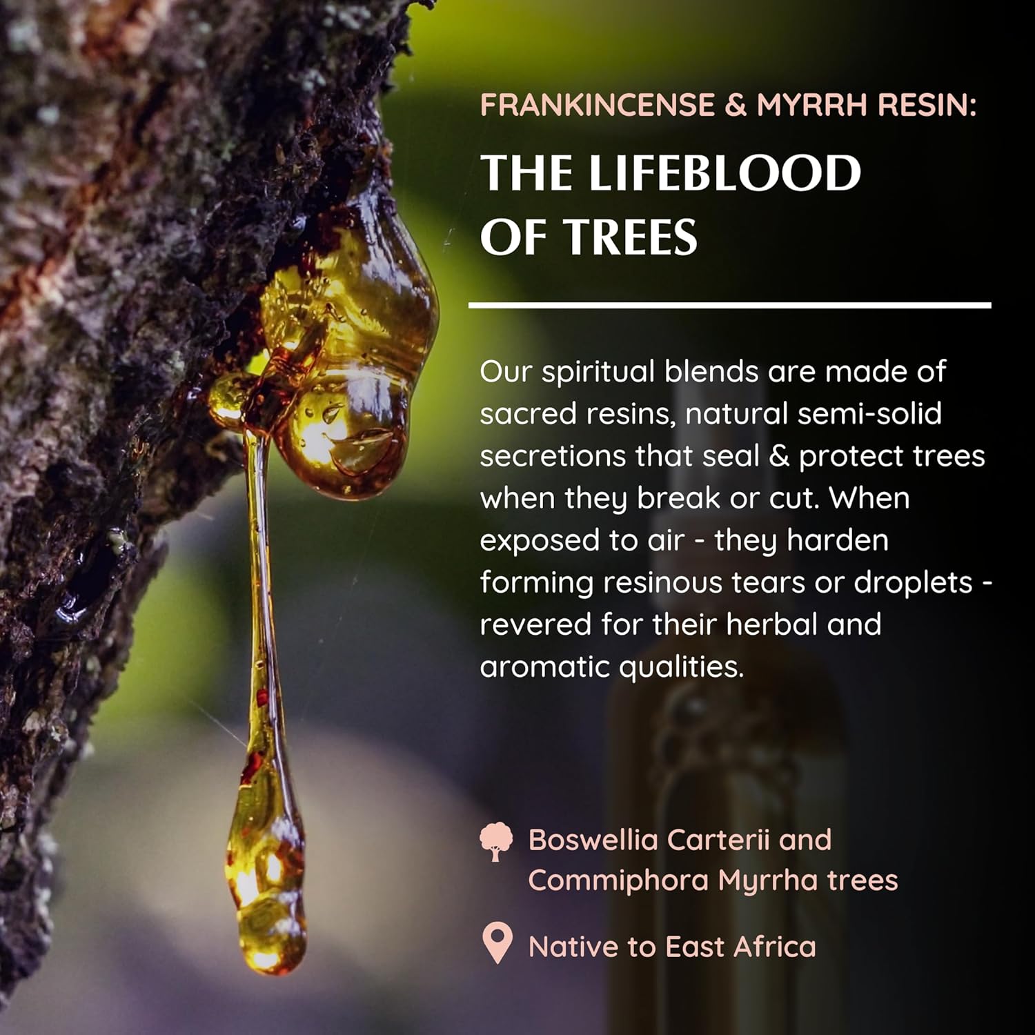 Aromafume Roomspray med Frankincense & Myrrh – røgfri rensning med æteriske olier. Skaber ro, energi og spirituel balance i dit hjem.