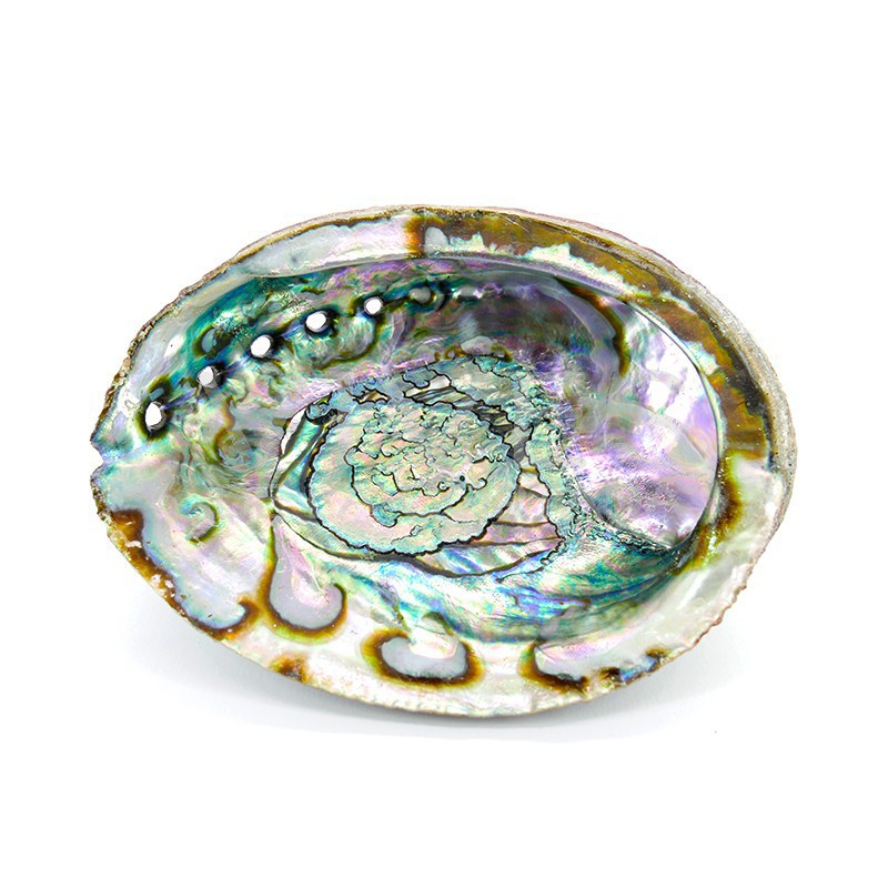 En smuk Rainbow Abalone skal med skinnende perlemor og naturlige farver. Brug den til smudging, som sæbeskål eller blot som et æstetisk element, der bringer havets ro ind i dit hjem.