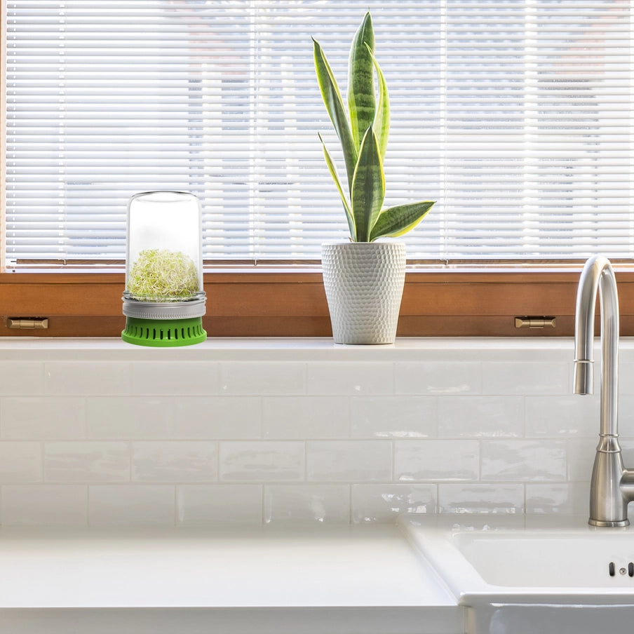 Spireglas Sæt – 2 stk spiringslåg til Mason Jar | Nem dyrkning af friske bønnespirer