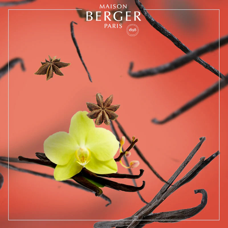 Maison Berger refill - Vanilla Gourmet | Duft til Aroma Diffuser