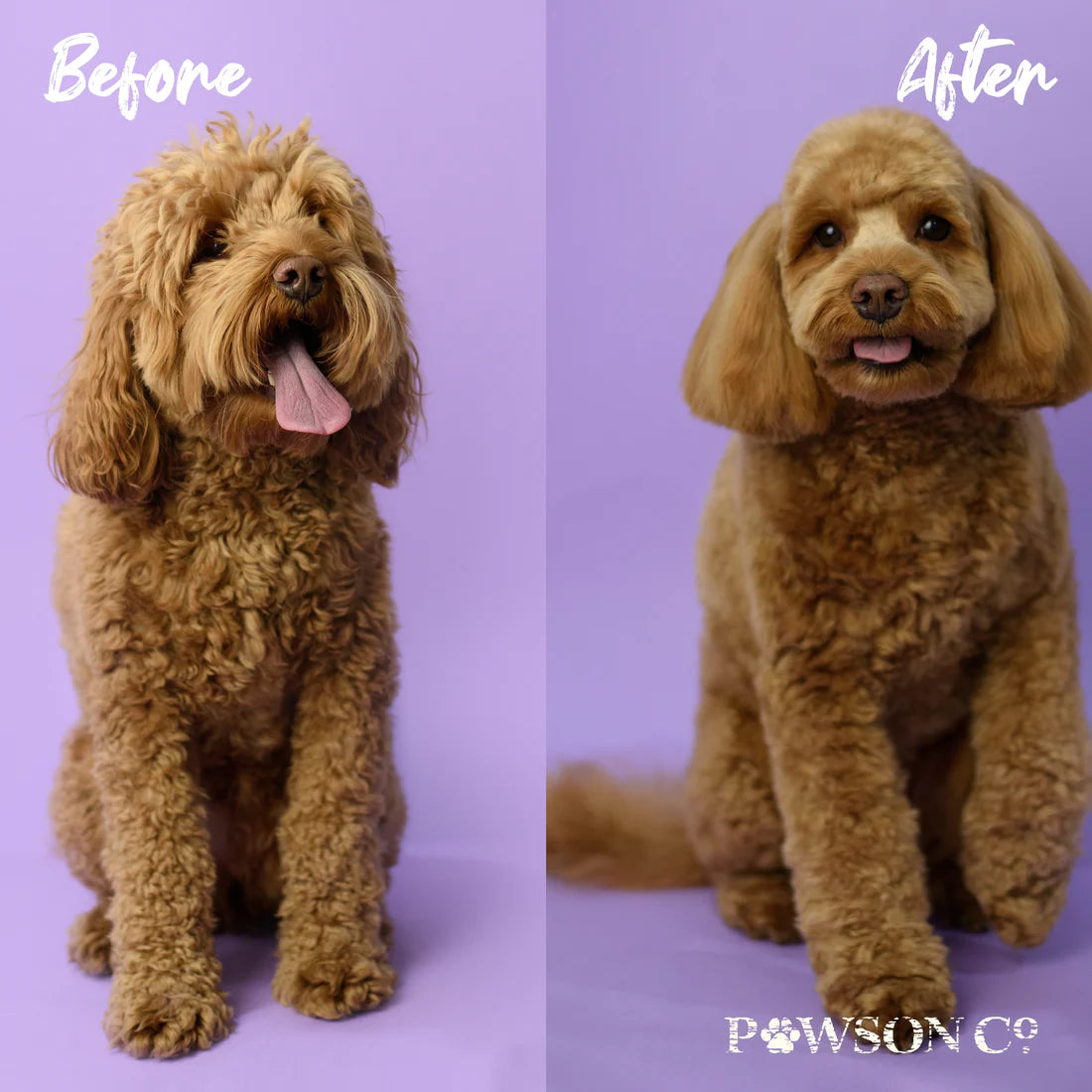 Viori Pet Shampoo Bar – Rice Water til hund & kat i Cherry Blossom + Lavendel & Jasmin