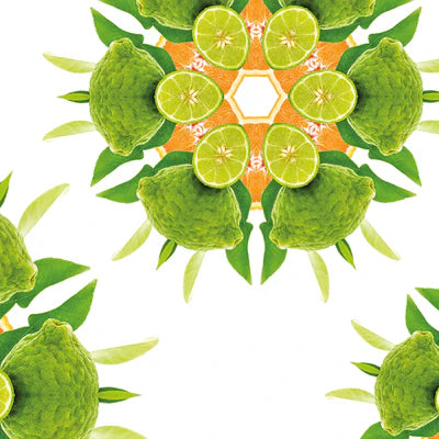 Maison Berger refill - Zest of Green Orange | Duft til duftpinde