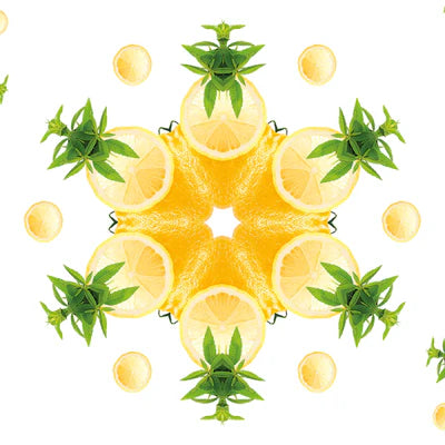 Maison Berger refill – Zest of Verbena | Duft til Maison Berger duftpinde