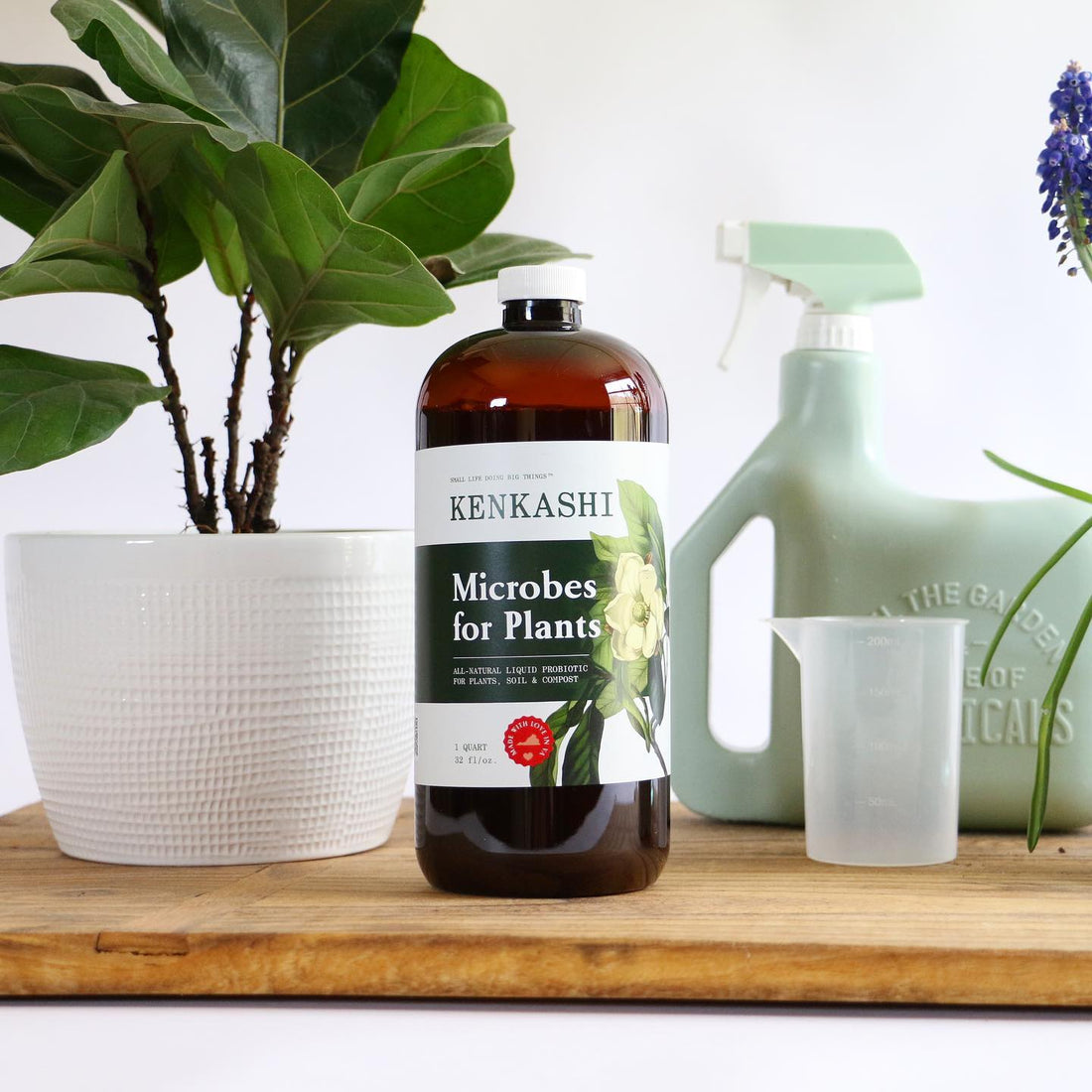 MIKROBER TIL PLANTER - NATURLIG PLANTE GØDNING