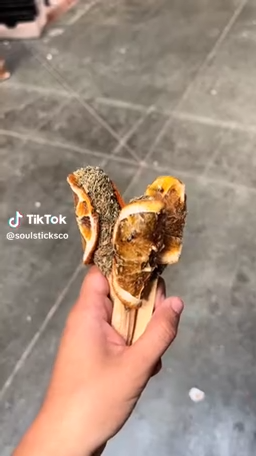 Salvie & Palo Santo Pops | Hellig træ røgelse til energi rensning & balance