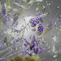 Bathroom - Free from Unpleasant Odours - Flakon m. Duftpinde - Maison Berger