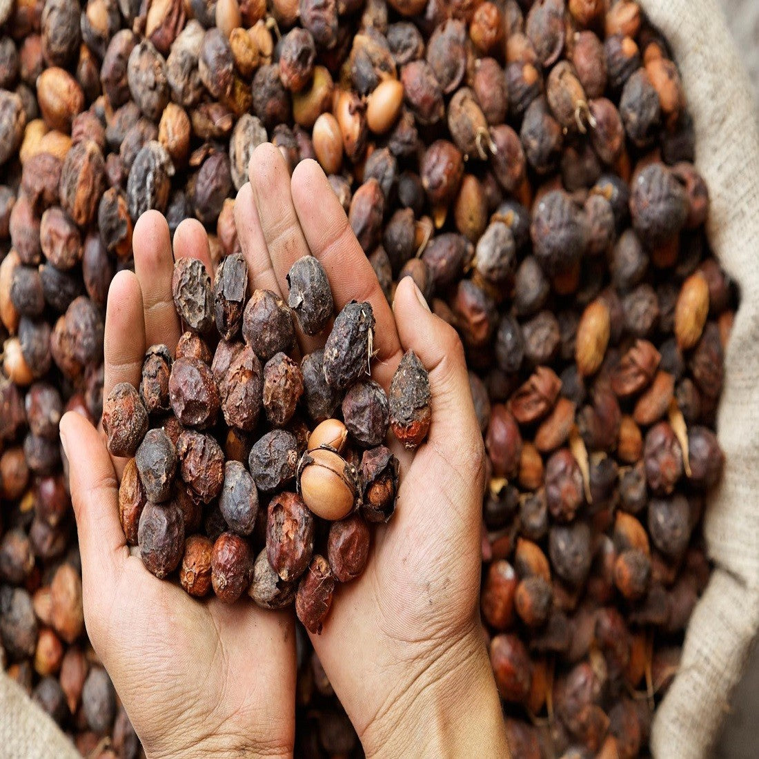 Savon de Marseille Håndsæbe m. Argan olie - 100g