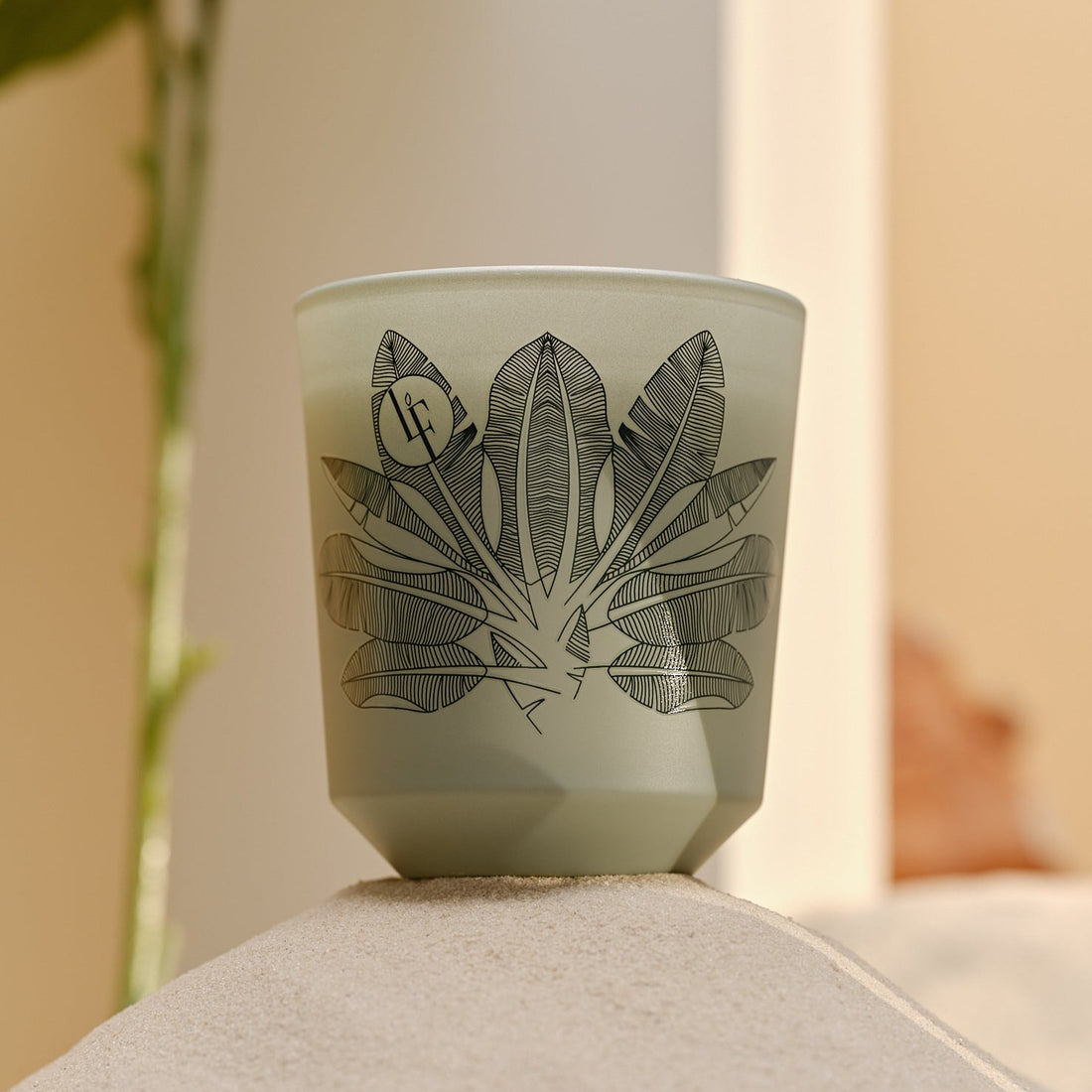 Bird of Paradise - Duftlys 200g - Bougies la Francaise