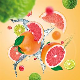 Citrus Breeze - Bil Diffuser startsæt - Frugt duft - Jonathan Adler & Maison Berger