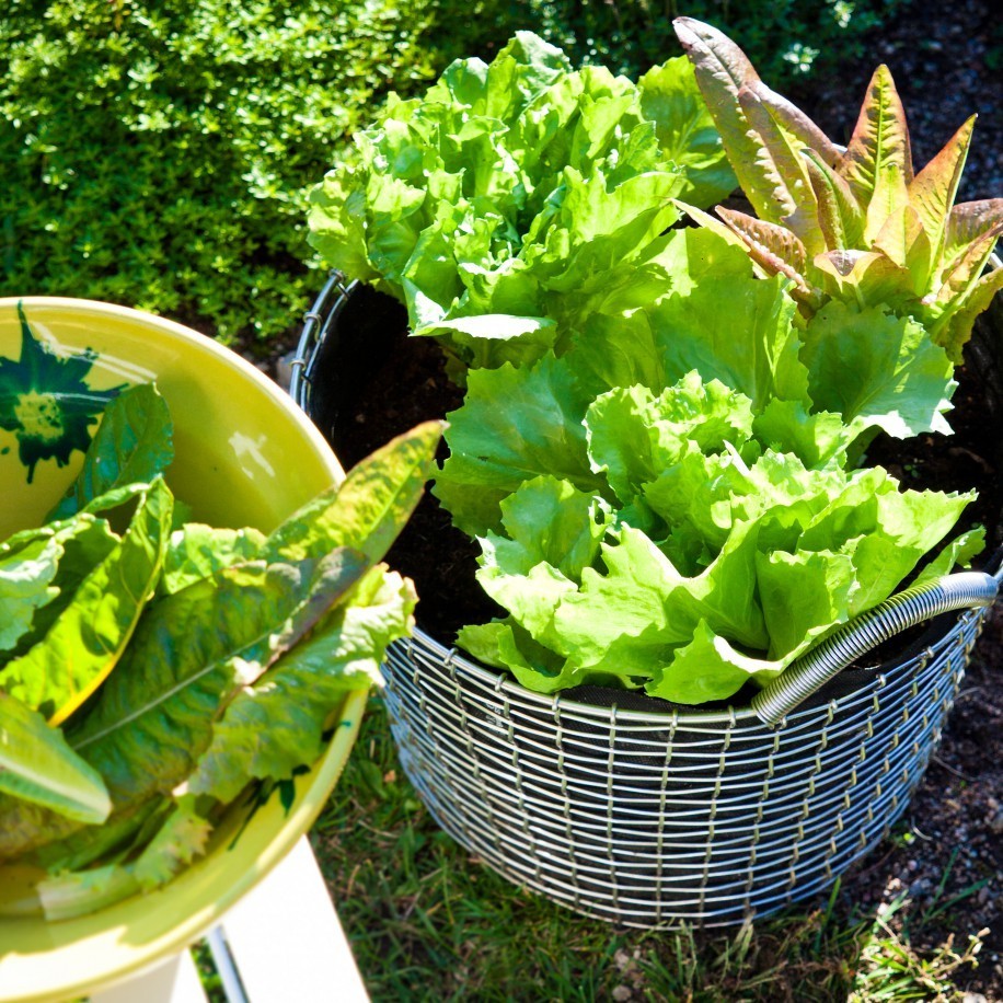 Korbo Classic 24 – Håndlavet metalkurv i svensk kvalitet | 24 liter