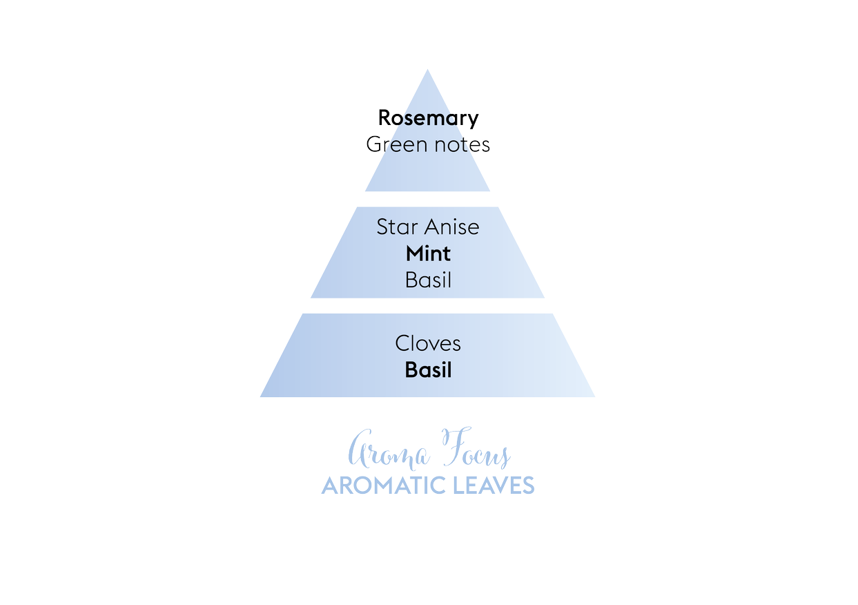 Focus Aromaterapi - Flakon m. Duftpinde - Pure - Maison Berger