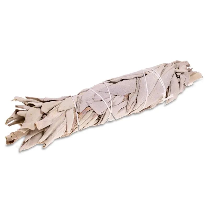 Rense kit - Abelone muslingeskal m. Salvie/Palo Santo bundt - 15-18 cm