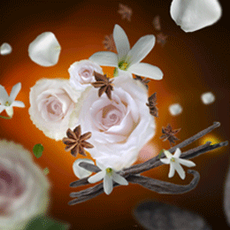 En afslappende aromaterapi-duft med krydrede og blomstrede noter, der fremmer velvære og indre balance.