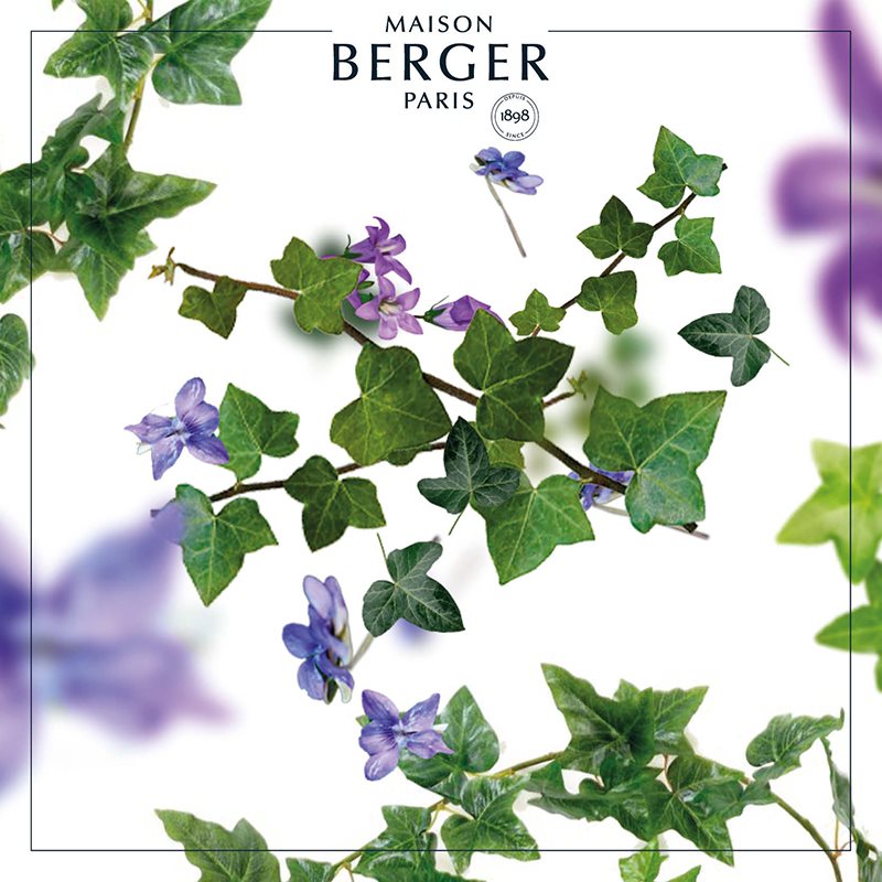 En kompleks & magisk duft blomsterduft m. stjerne anis, lakrids & tonkabønner. Lolita Lempicka i samarbejde med Maison Berger.