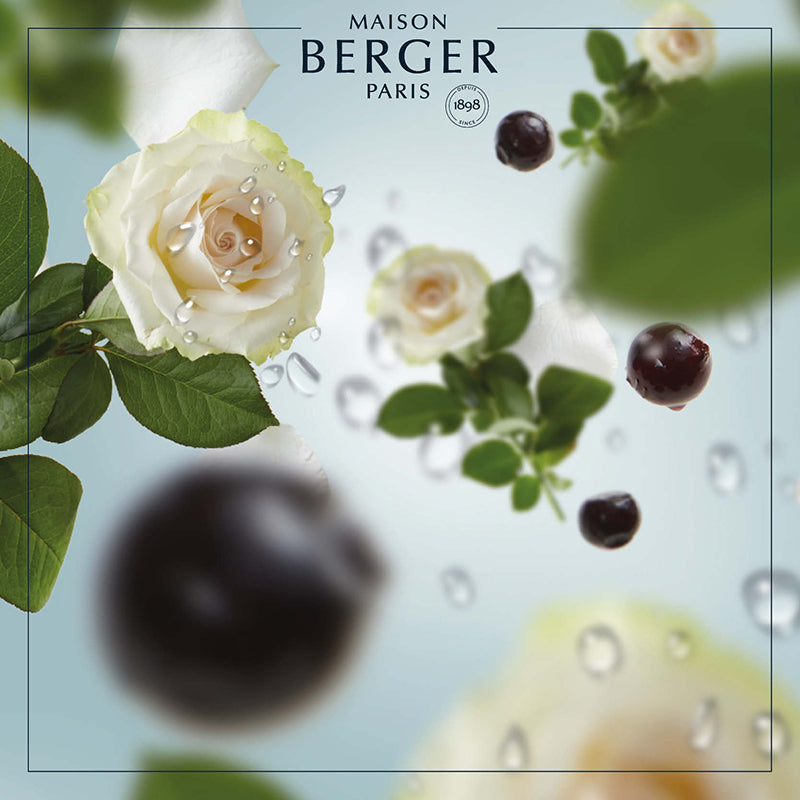 Ocean Breeze fra Maison Berger Paris er en frisk og let havduft, der fylder dit hjem med renhed, ro og følelsen af en kølig brise fra kysten.