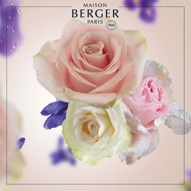 Paris Chic fra Maison Berger Paris – en moderne klassiker, hvor friske citrusnoter og bløde roser mødes i ren pariser-elegance.