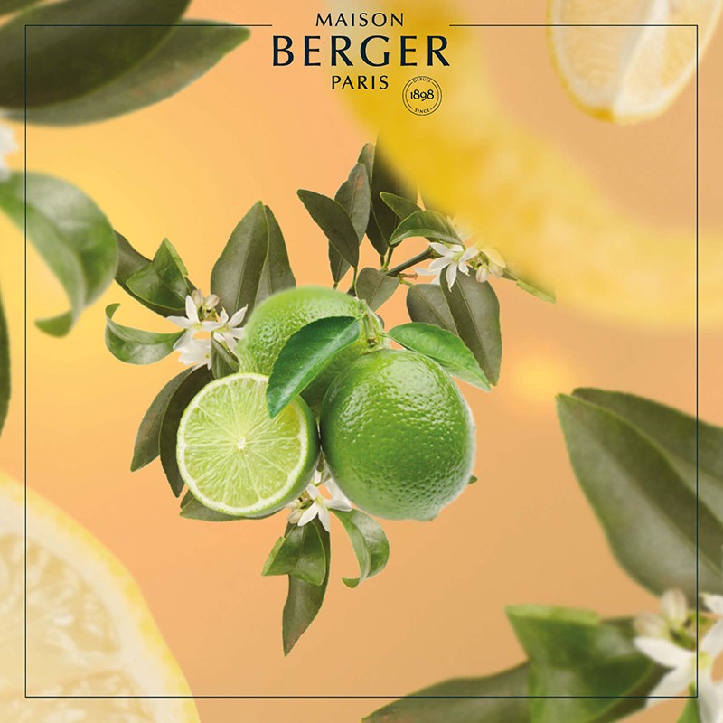 Lemon Flower fra Maison Berger Paris er en sprudlende citrusduft, der fylder dit hjem med frisk energi, lethed og ren velvære.