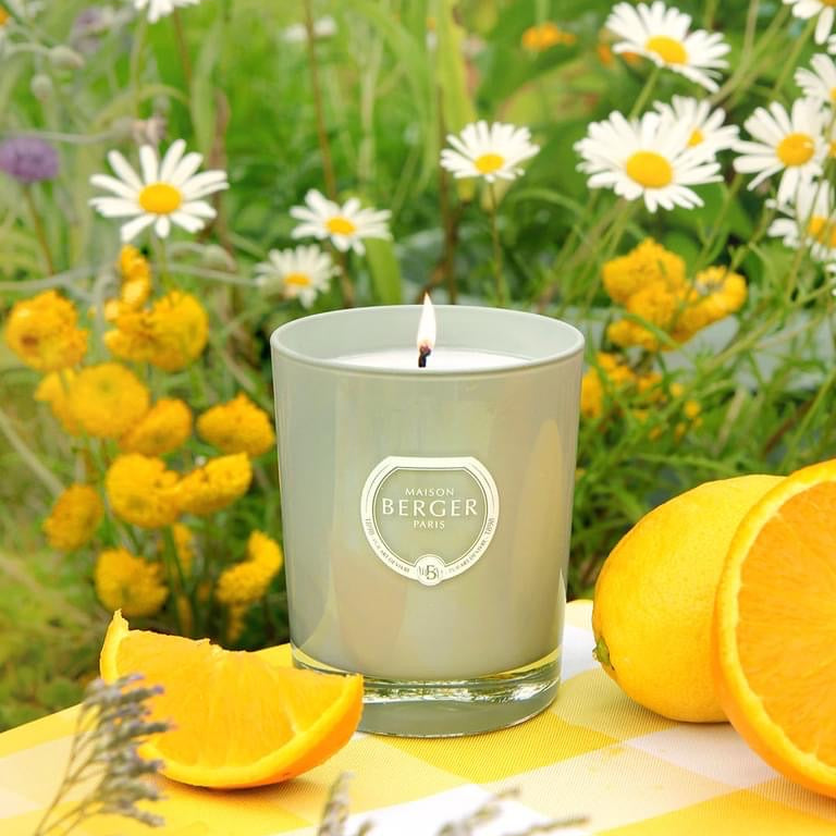 Maison Berger Paris Citronella Duftlys – frisk, aromatisk og funktionelt lys, der holder myg væk og skaber hyggelige, velduftende sommeraftener