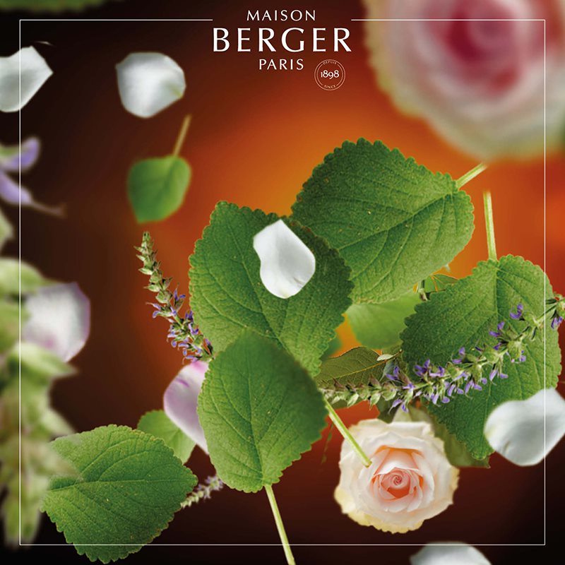 Mystery Patchouli fra Maison Berger Paris er en sensuel og krydret duft, der indhyller dit hjem i varme, mystik og dyb afslapning.
