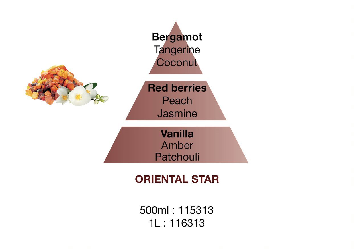 Oriental Star Duftpinde Refill - Krydret duft - Maison Berger