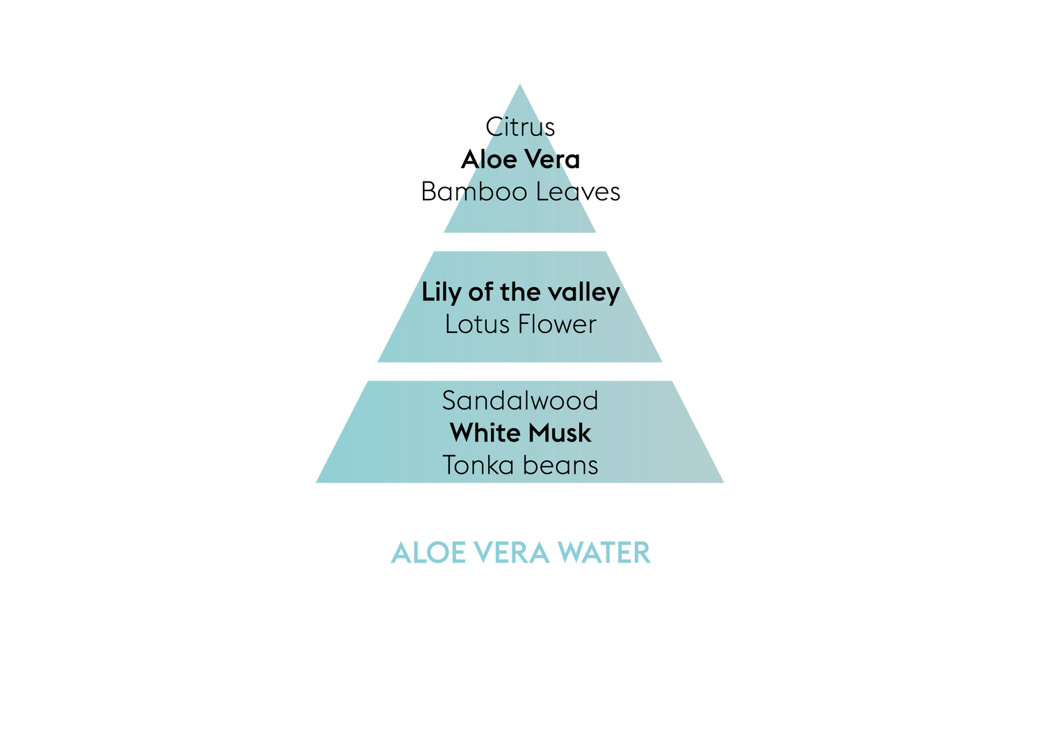 Aloe Vera Water - Lampe Berger Refill - Frisk duft - Maison Berger