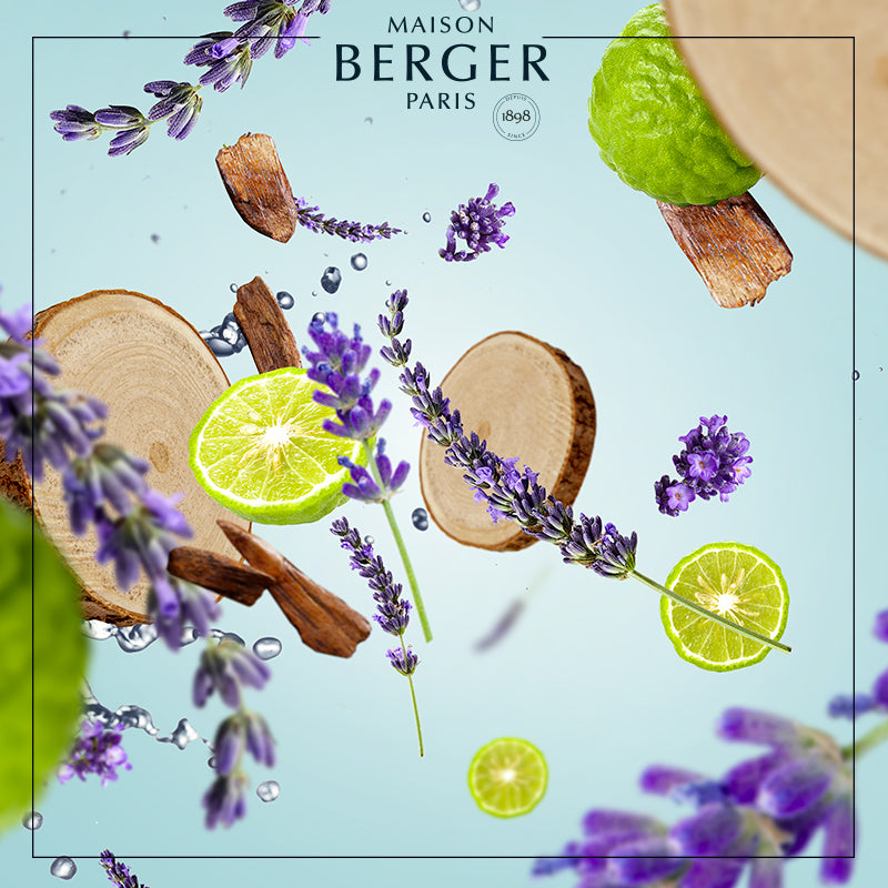 Fresh Wood - Lampe Berger Refill - Frisk duft - Maison Berger