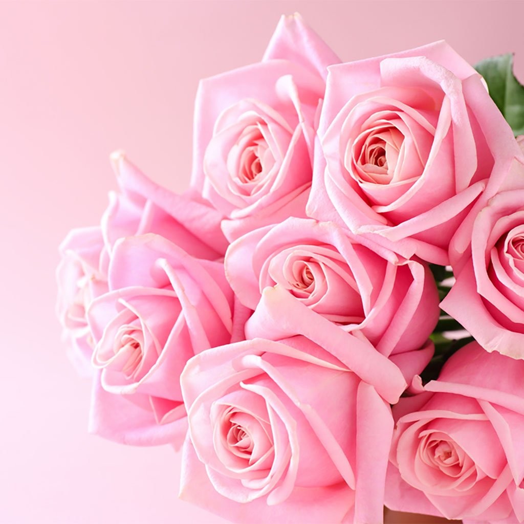 Duftpose med Rose | Dekorativ papirpose fra Le Blanc