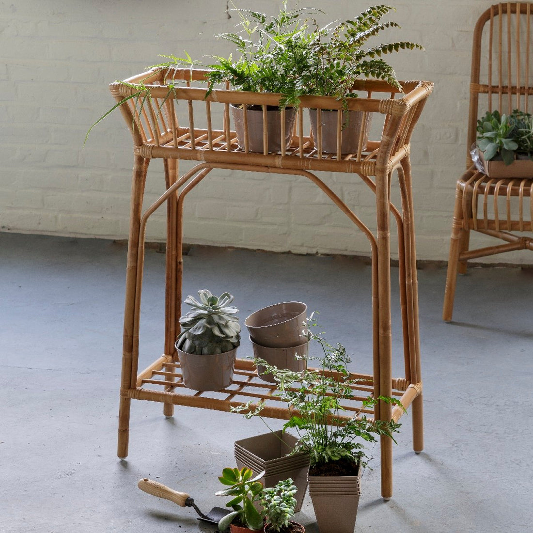RATTAN FLOWERSTAND MED HYLDE | KOK MAISON
