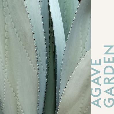 Lampe Berger refill - Garden of Agaves | Duft til Maison Berger duftlampe