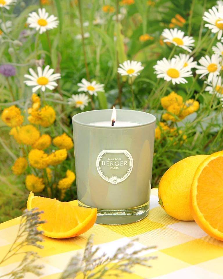 Maison Berger duftlys med Citronella