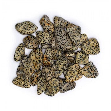 Dalmatiner Krystal - Polerede Tromlesten