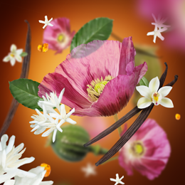 Velvet of Orient Duftpinde Refill - Krydret duft - Maison Berger