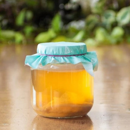 Opskrift: Green Tea Kombucha