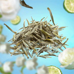 WHITE TEA