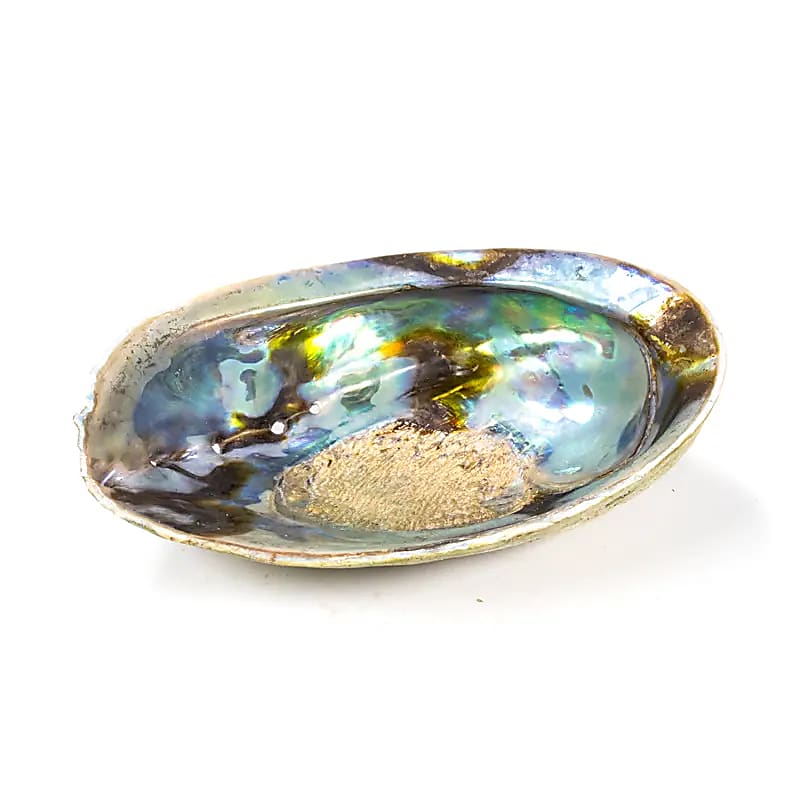 Abalone skal til spirituel rensning og meditation