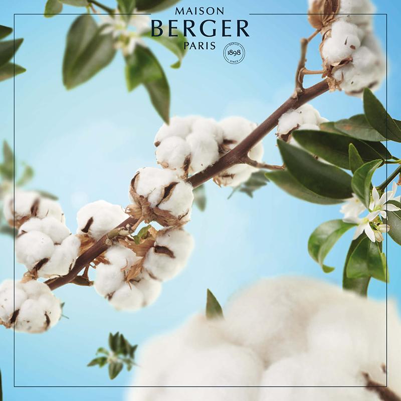 Cotton Caress refill til Maison Berger bildiffuser spreder en blød, ren og beroligende duft af nyvasket bomuld i bilen.