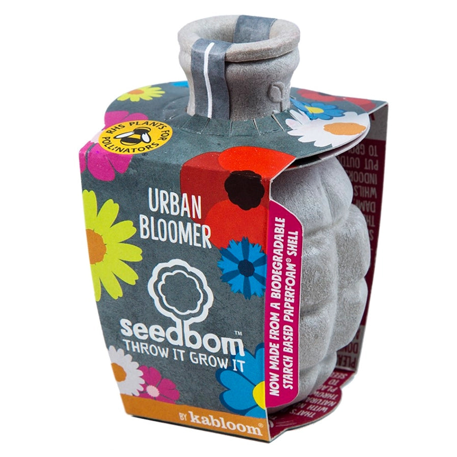 Kabloom Urban Bloomer | Frøbombe til bynatur | Vilde blomsterfrø til bier, fugle & sommerfugle